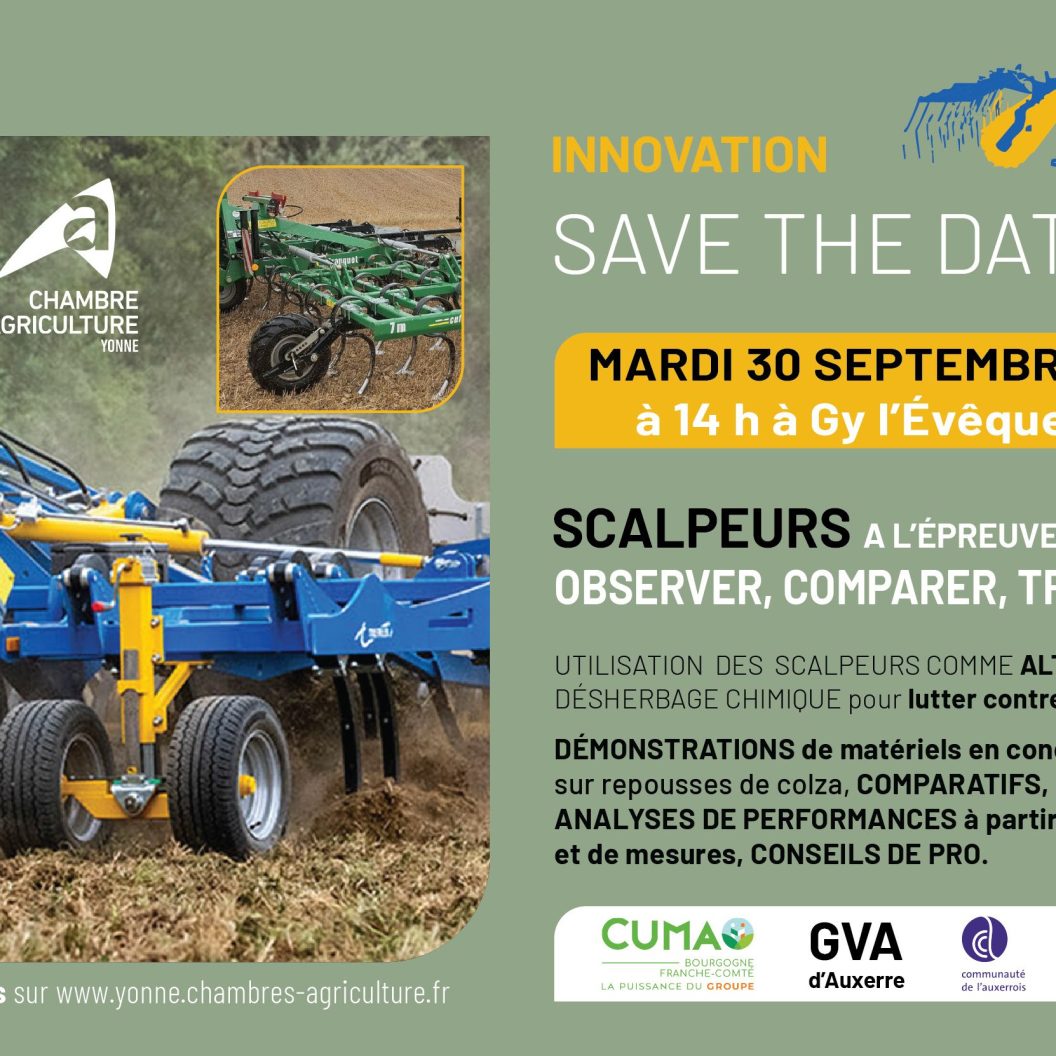 scalpeurs Cuma